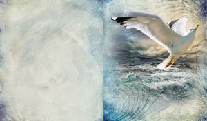 White seagull flies over the waves of the ocean