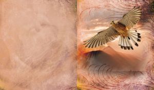 Falcon flies through the sky over the desert sands