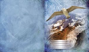 Albatross flight in the snowy mountain