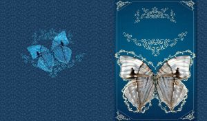 Top view of open winged Swallowtail Butterfly against blue swirl background