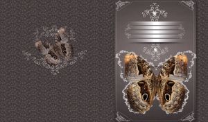 Top view of open winged brown Owl Butterfly against grey swirl background