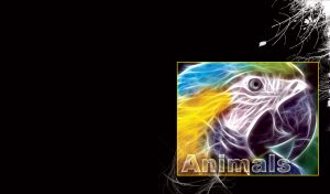 Yellow blue parrot with the effect of electric waves and white on black pattern