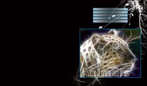 A white leopard glows in the electric waves with a white on black pattern