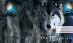 Wild grey wolf with blue eyes and a thumbnail view of wolves howl at the moon