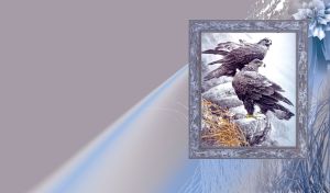 A couple of gray eagles on the rocks with dry grass in the frame with flower decor