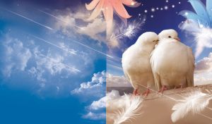 Two white doves in love sit together on a blue background with feathers, stars and lilies