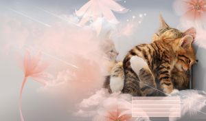 Two kittens cuddling with mother cat on pastel gray background with feathers, stars and flowers