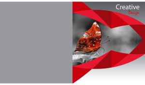 Creative Design | Nature in Artistic Frame Pattern with Color Accent on Gray