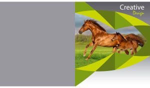 Galloping horses in a creative lime-green art frame against a grey background