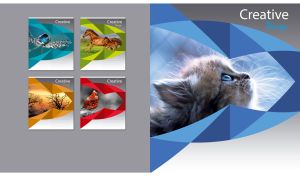 Kitten looking up in a creative blue art frame against a grey background