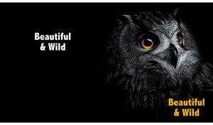 Beautiful and Wild | Eyes of the Wild | Closeup animal portraits in black