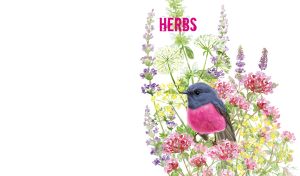 Watercolor pink robin and wildflowers against a white backdrop