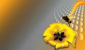 Bee flies over a yellow blooming tulip on yellow to grey techno gradient