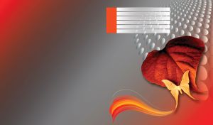 Luna moth flies on a scarlet red leaf on a red to gray techno gradient