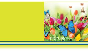 Spring Blooms & Butterflies | Nature's Dance of Petals and Wings
