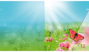 Large cooper butterfly among the pink peonies against the blue sunny sky