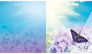 A purple emperor butterfly among the violet geraniums against the blue sunny sky