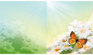 An orange sulphur butterfly among the white daisies against the yellow sunny sky