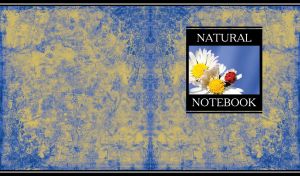 Natural Notebook | Miniatures on Grunge Floral Backdrops