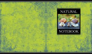 Miniature with snail family on a lime- grey grunge floral backdrop