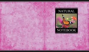 Miniature with an orange butterfly on a dark pink grunge floral backdrop