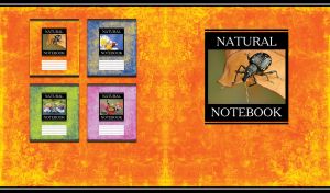 Miniature of a vine weevil on an orange-yellow grunge floral backdrop