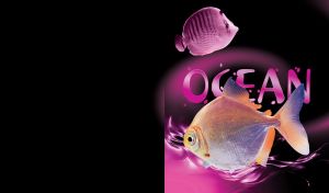 Silver dollar fish shimmering gold swims in a purple ocean