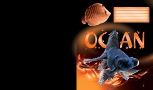 Black moor goldfish with protruding eyes swims in a orange ocean