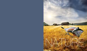 Crane in the field with farm landscape