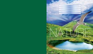 Gull bird flying over small pond