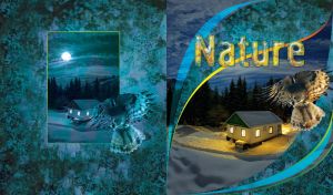 Nature winter night landscape with an owl bird flying