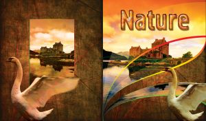 Nature orange landscape with a beautiful swan and fortress