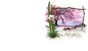 Nature Miniatures | Captivating Scenes in Ornate Frames on White