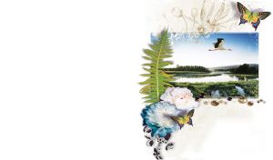 Peonies and fern leaf on top of an image of a flying stork above a river