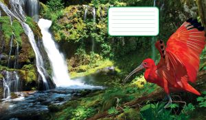 Wildlife by the Water | Lively Birds in Untamed Waterscapes