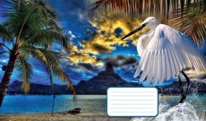 White egret on a sandy seashore with palm trees under a blue cloudy sunset sky