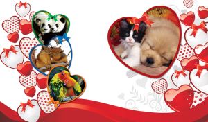 Heartfelt Bonds | Charming Animal Pairs in Heart-Shaped Frames | on White