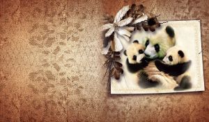 Animals family photos on textured backdrop