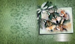 Photo of a family of Wolves with two cubs pinned to textured paper with flowers.