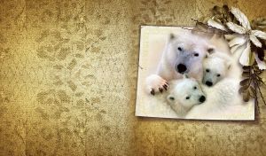 Photo of a family of Polar Bears with cubs pinned to textured paper with flower.
