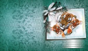 Photo of a family of Tigers with two cubs pinned to textured paper with flowers.