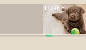 Chocolate labrador puppy with a green ball against a pastel brown-gray wallpaper