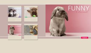 Lop-eared rabbit in a pastel pink studio against a pastel brown-gray wallpaper