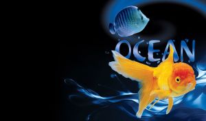 Ocean aquarium goldfish on a blue and black background