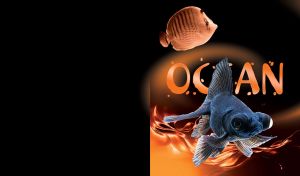 Ocean aquarium telescope fish on an orange background