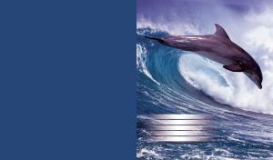 Dolphin overtakes the ocean waves