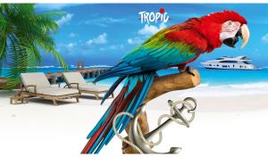 Scarlet macaw at a tropical beach with white sand and azure ocean view