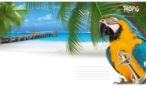 Blue-and-yellow macaw at a tropical beach with white sand and azure ocean view