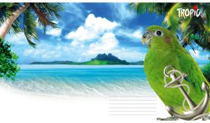 Black-billed amazon at a tropical beach with white sand and azure ocean view