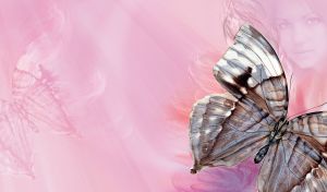 Brown gray butterfly and the face of a beauty on a pastel pink background